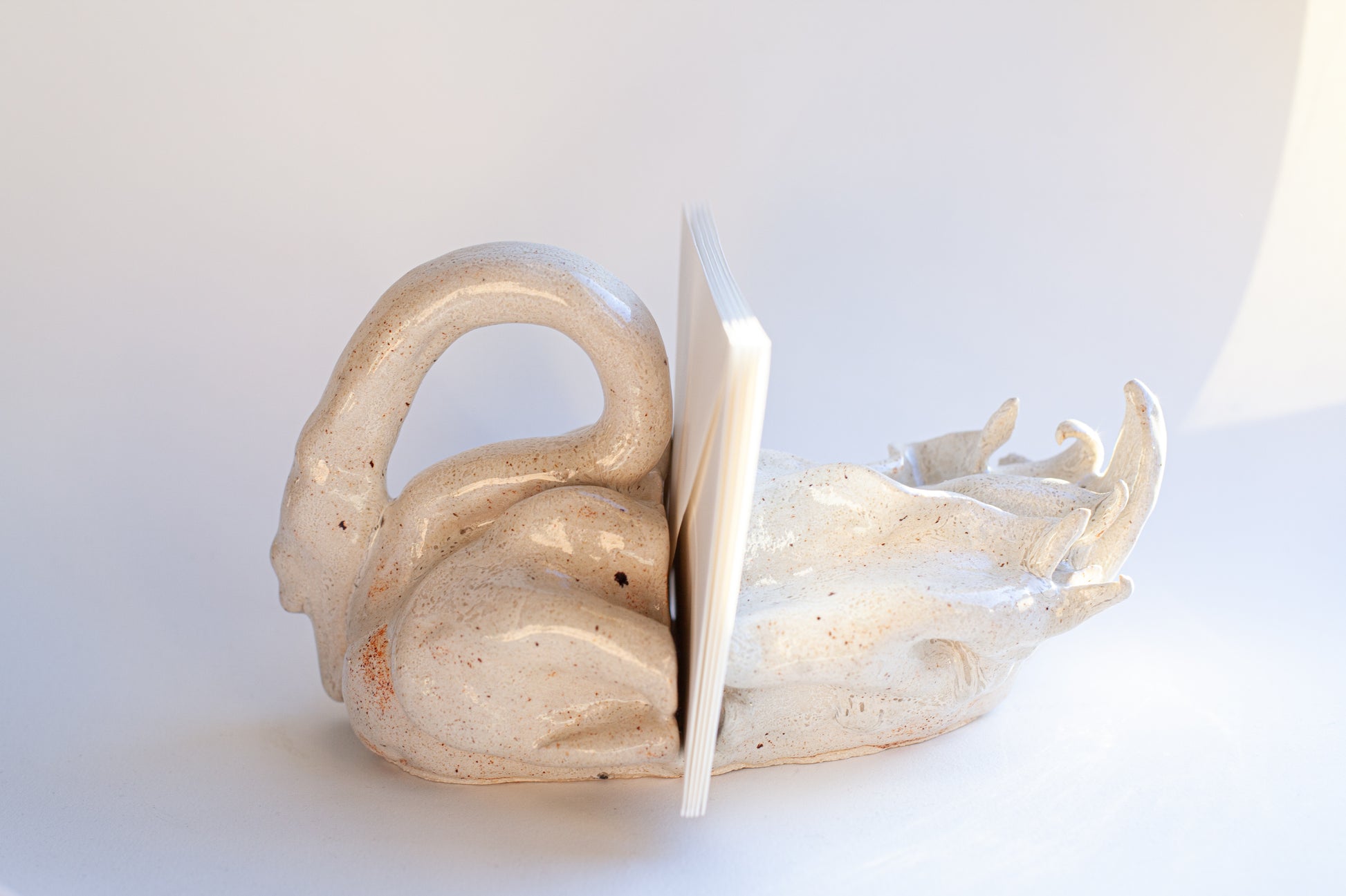 El Cisne Letterholder